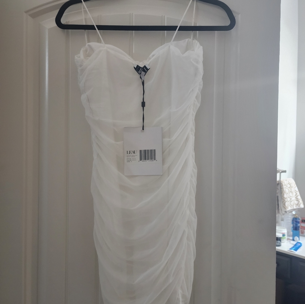 L'eau Bustier Dedon Mesh Dress